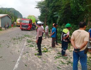 Gerak Cepat Personel Polsek Bungoro Evakuasi Pohon Tumbang di Jalan Poros Tonasa 2